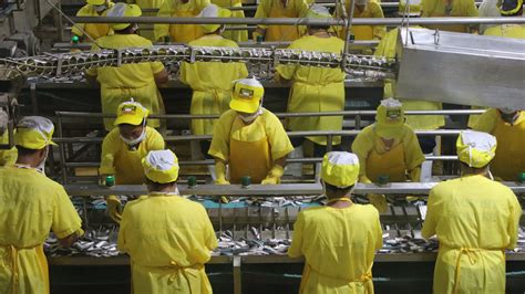 Four decades of catching and canning: The secret to Mega Global's.
